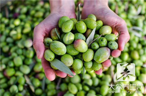 1.新鲜橄榄果泡绿茶