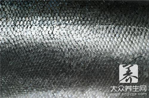 鲨鱼皮泳衣