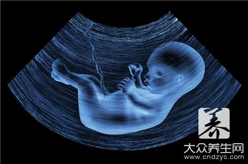 b超是怎么检查的
