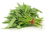 通心菜但它又被叫“抽筋菜”，何解？