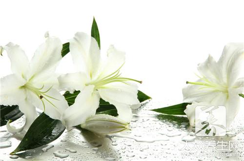 百合花