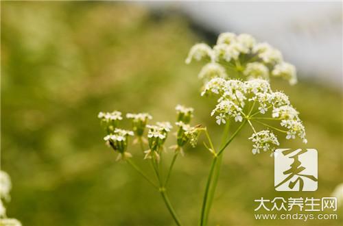 中成药三