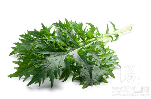 孕妇可以吃老鼠耳菜吗
