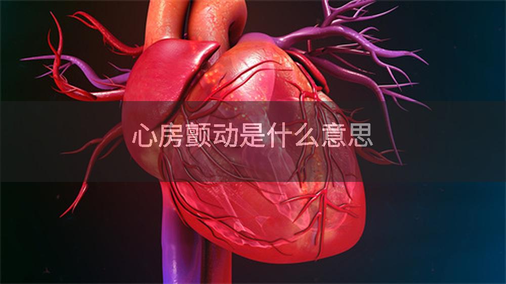 心房颤动是什么意思