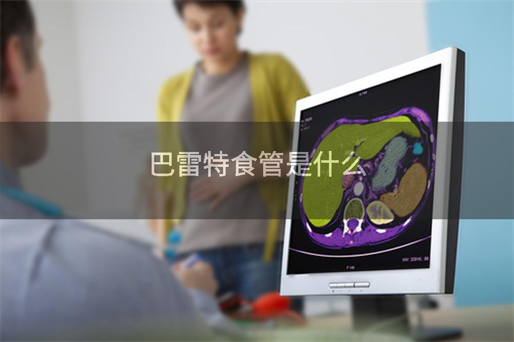 巴雷特食管是什么