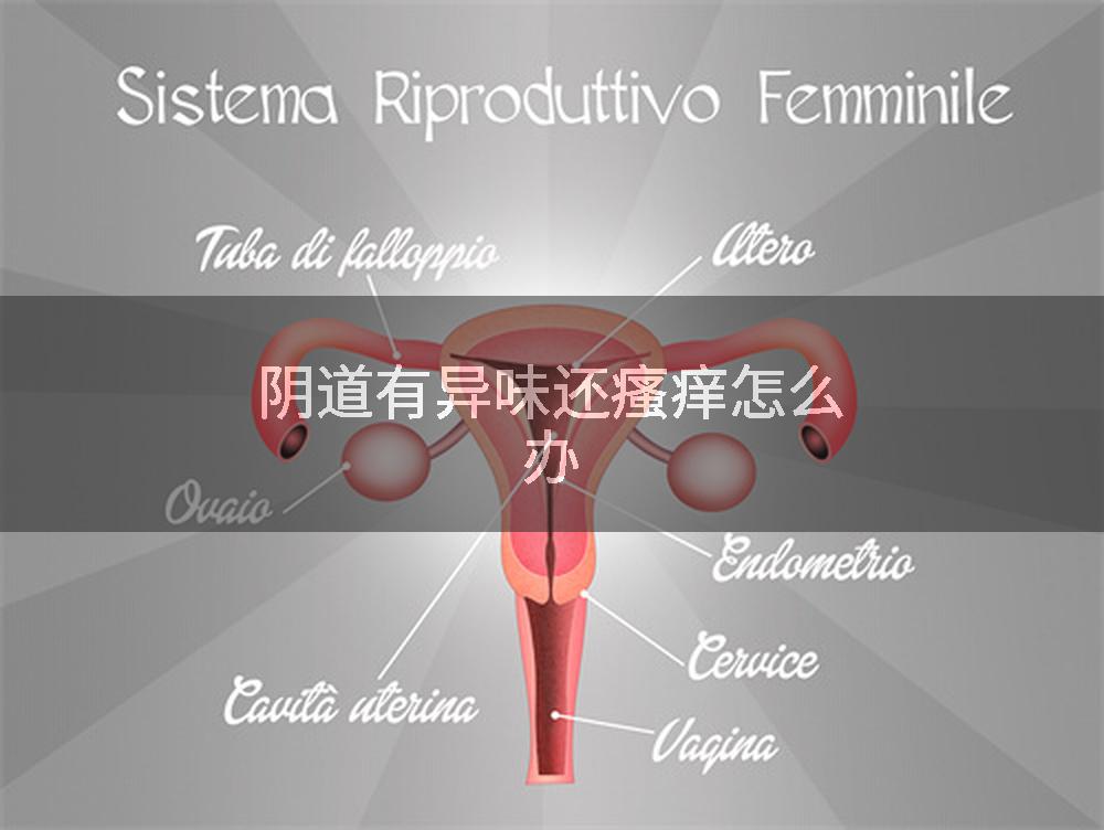 阴道有异味还瘙痒怎么办