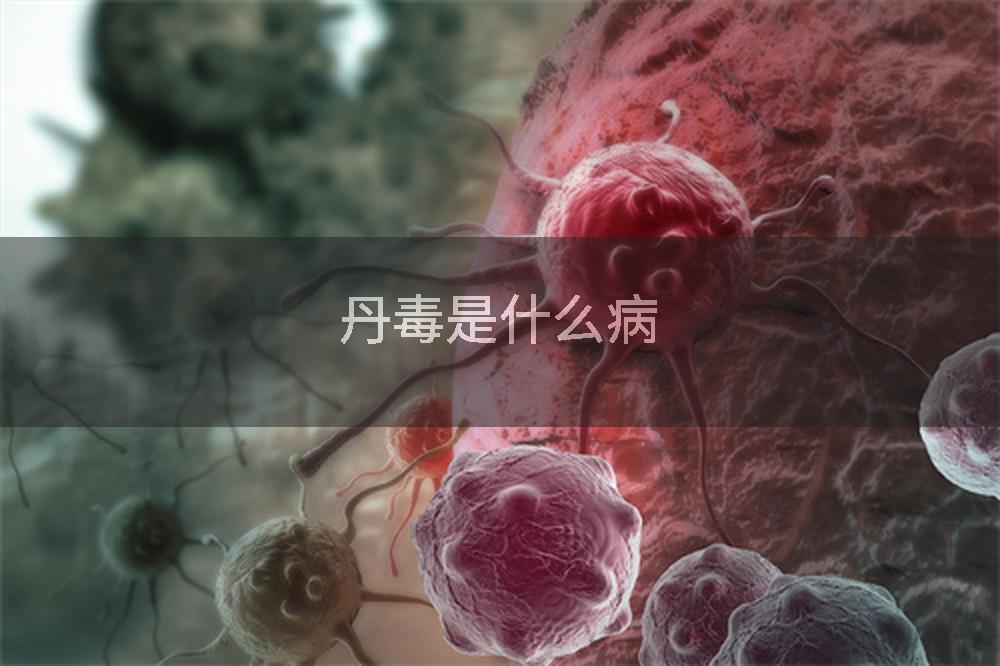 丹毒是什么病