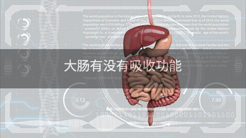 大肠有没有吸收功能