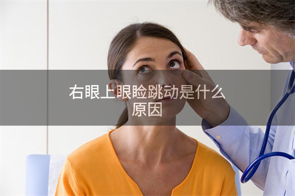 右眼上眼睑跳动是什么原因