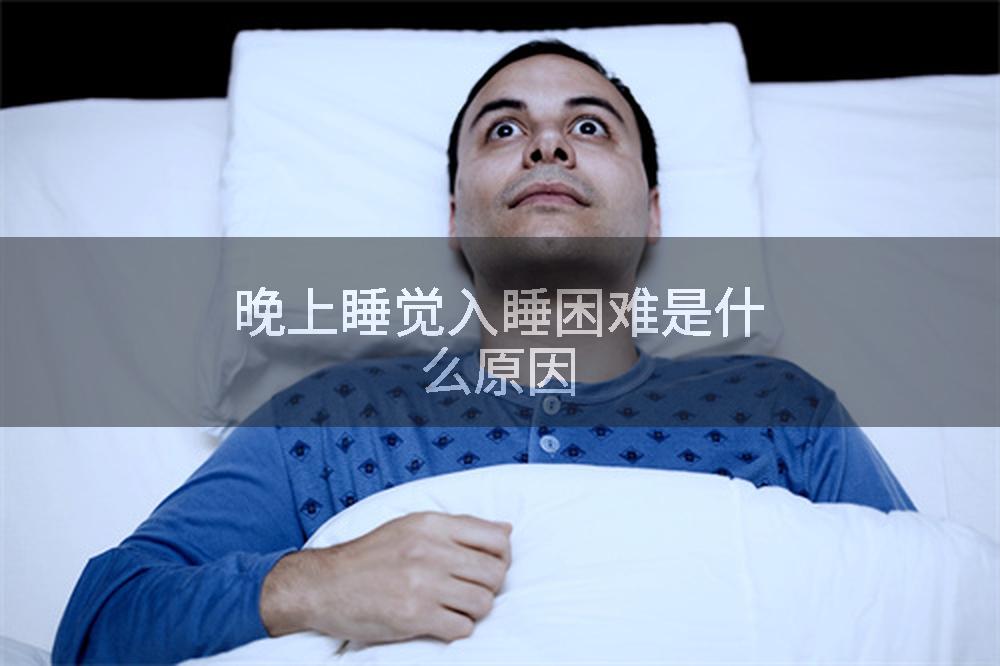 晚上睡觉入睡困难是什么原因