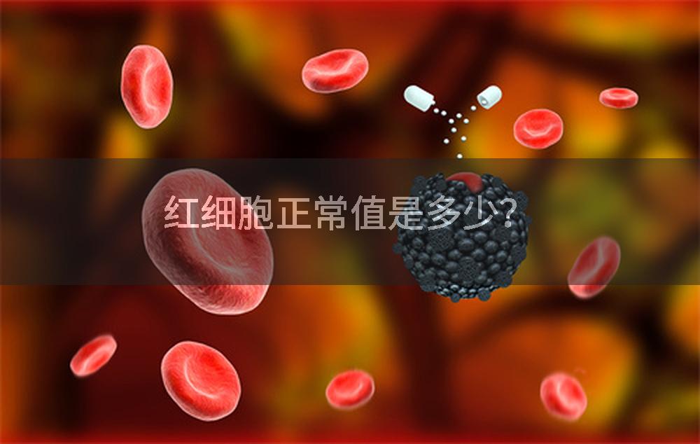 红细胞正常值是多少？