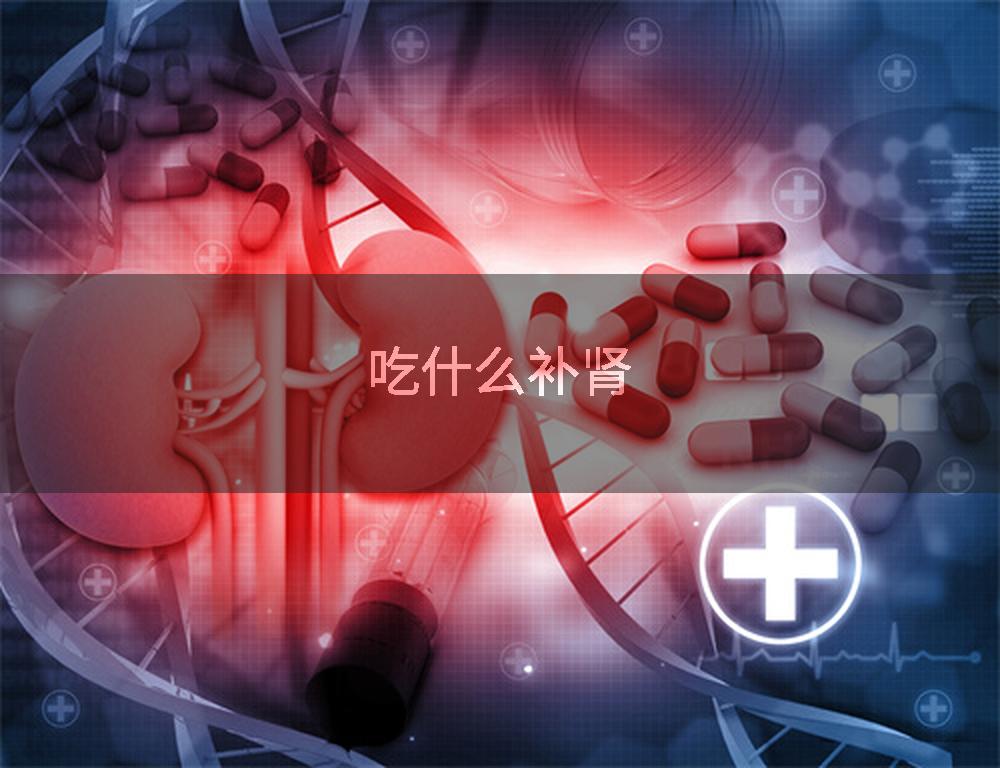 吃什么补肾
