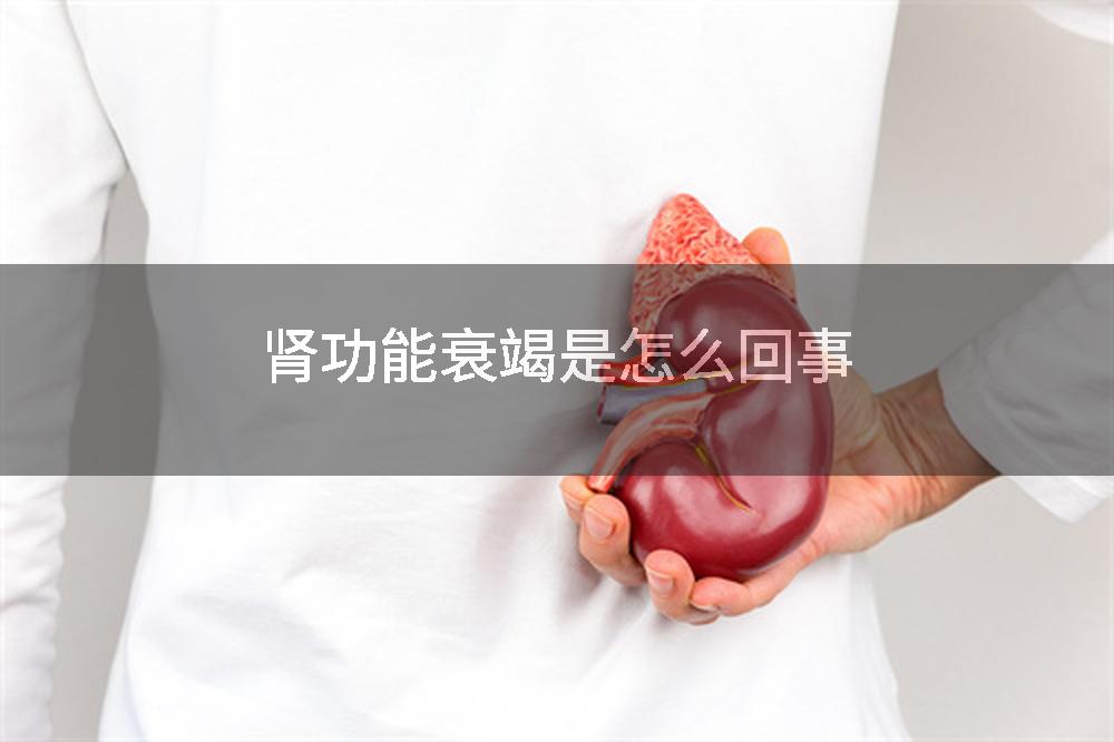 肾功能衰竭是怎么回事