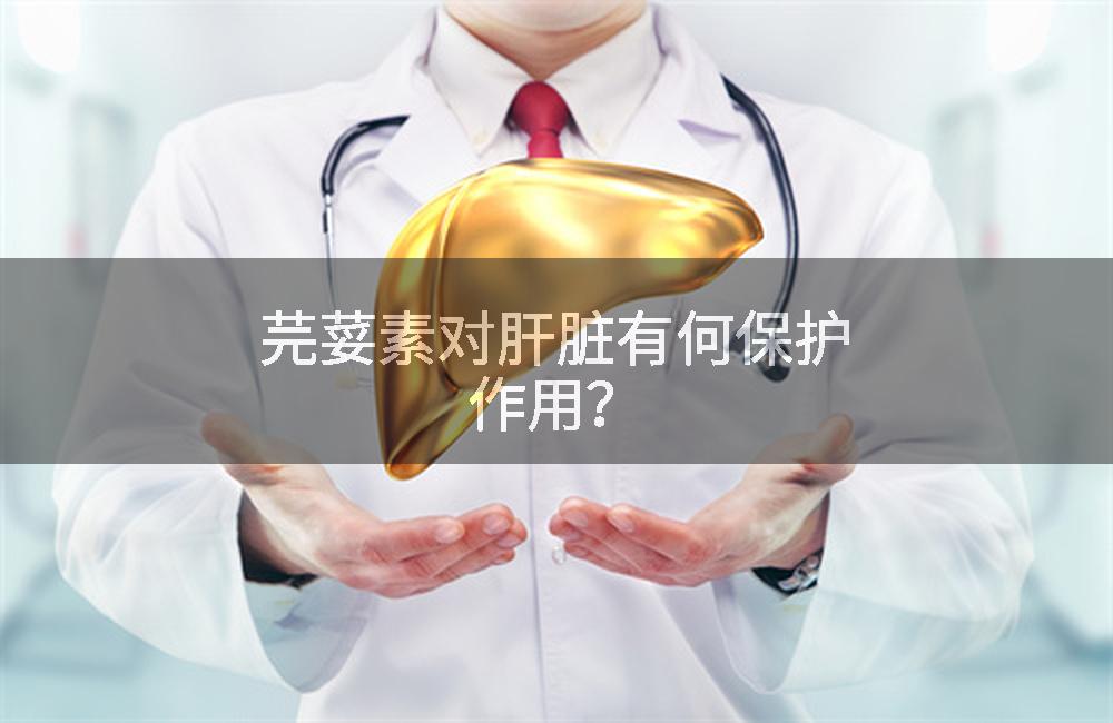 芫荽素对肝脏有何保护作用？