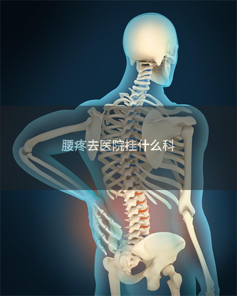 腰疼去医院挂什么科