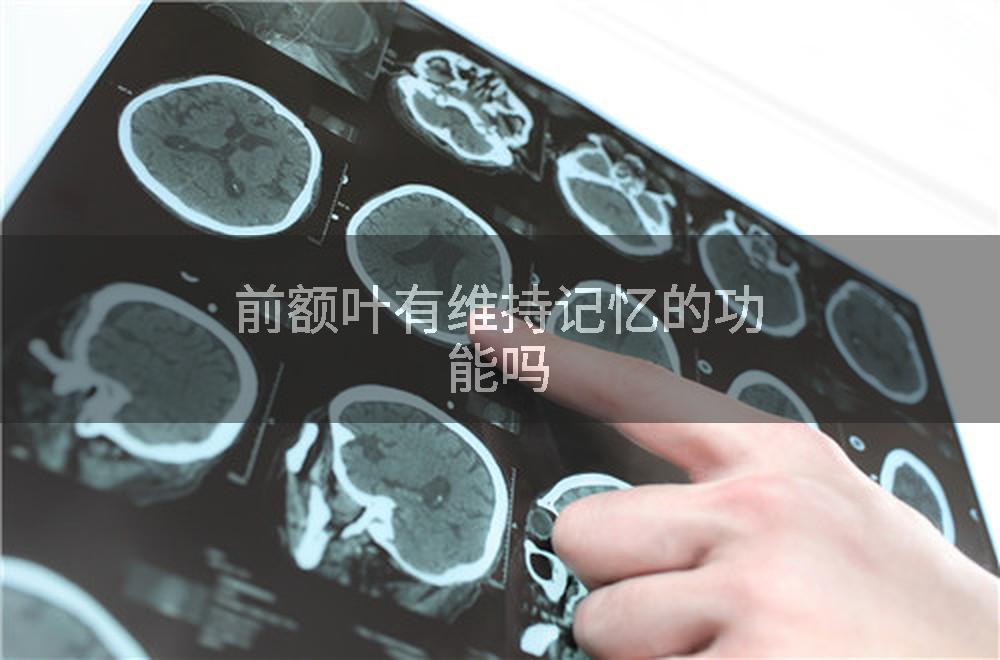 前额叶有维持记忆的功能吗