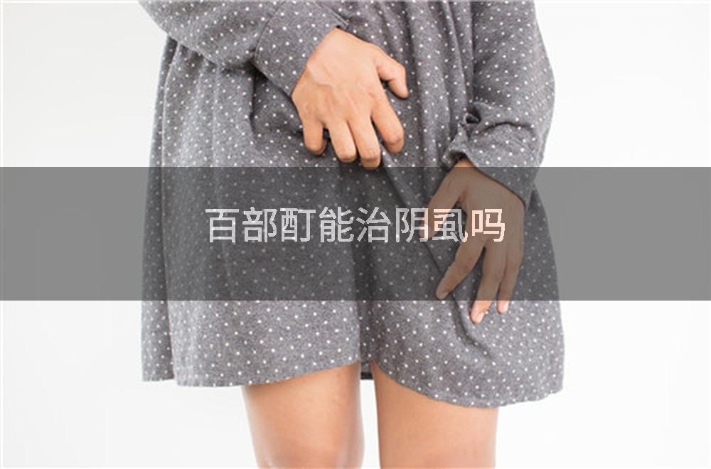 百部酊能治阴虱吗