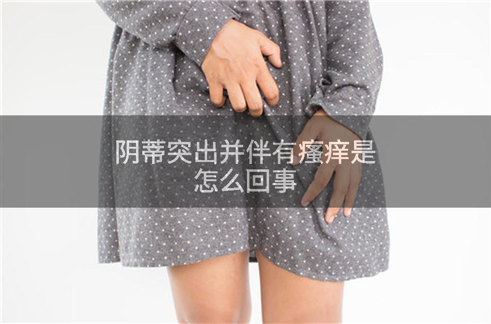 阴蒂突出并伴有瘙痒是怎么回事