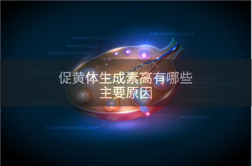 促黄体生成素高有哪些主要原因