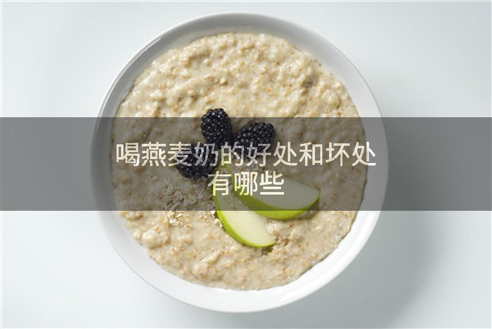 喝燕麦奶的好处和坏处有哪些