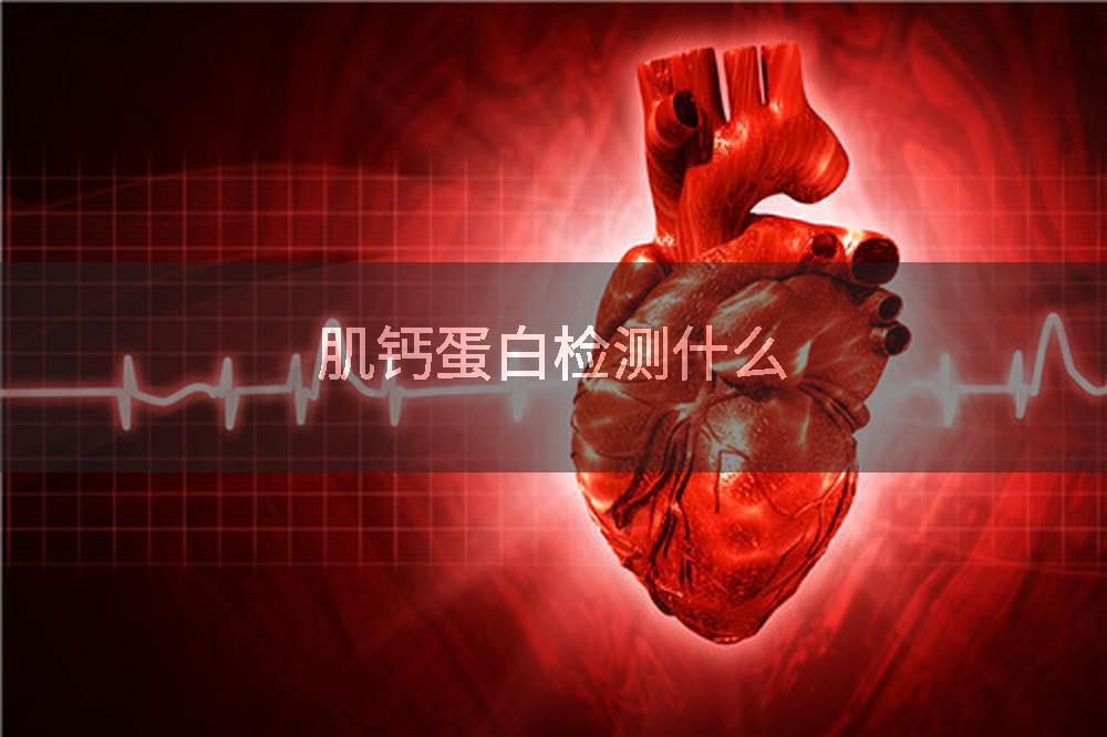 肌钙蛋白检测什么