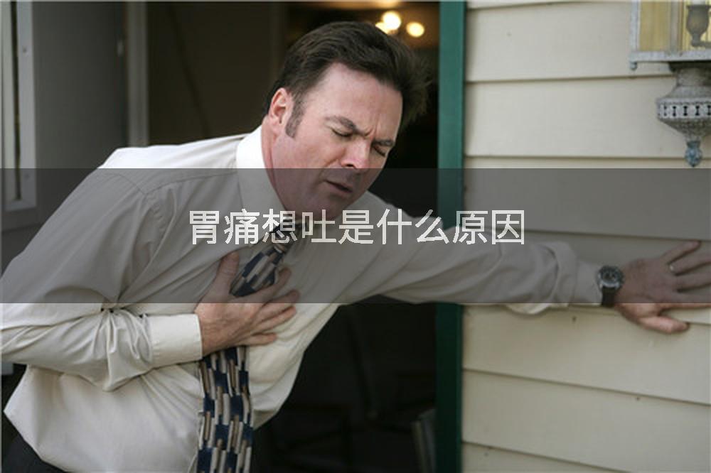 胃痛想吐是什么原因