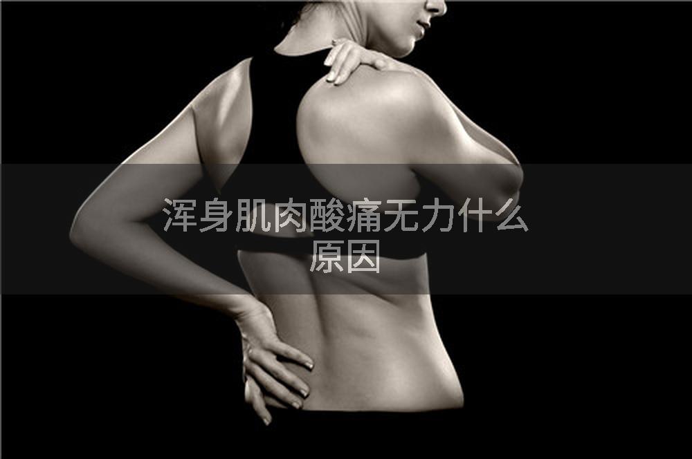 浑身肌肉酸痛无力什么原因