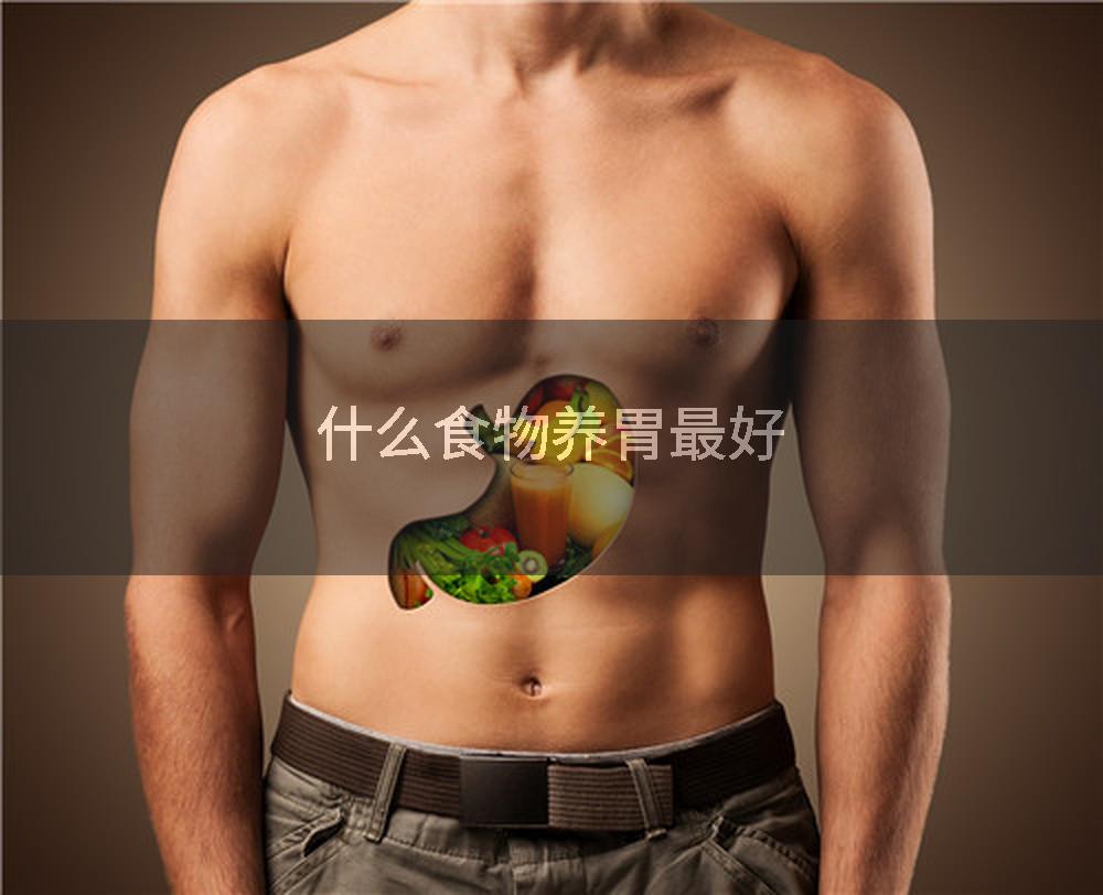 什么食物养胃最好