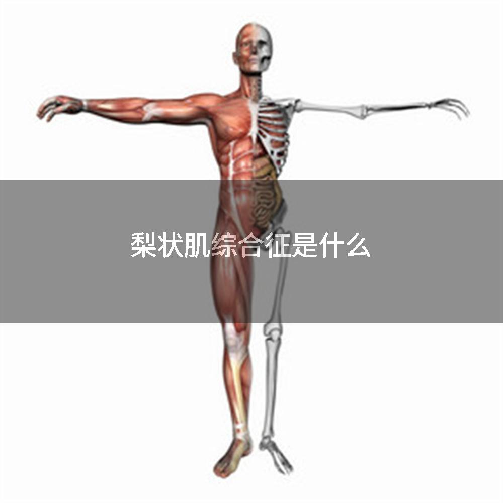 梨状肌综合征是什么
