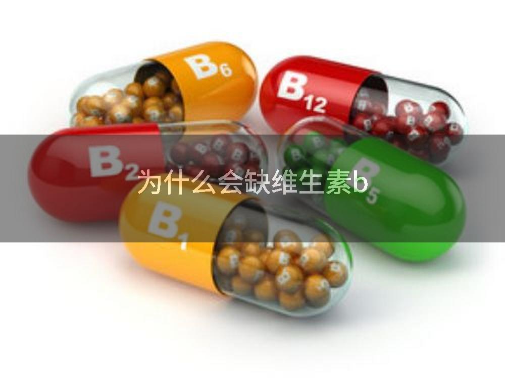 为什么会缺维生素b