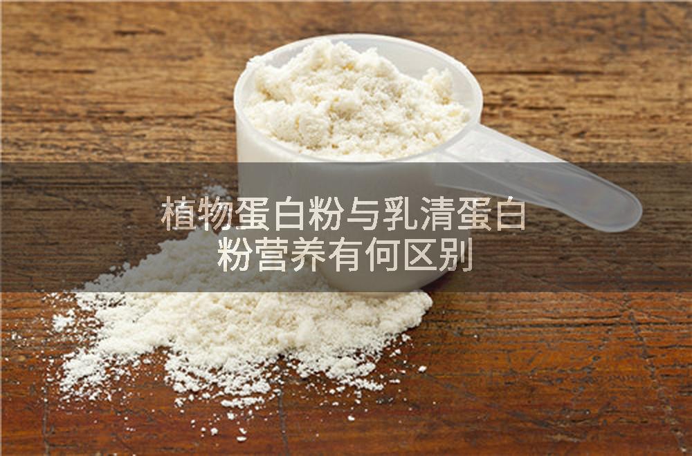 植物蛋白粉与乳清蛋白粉营养有何区别