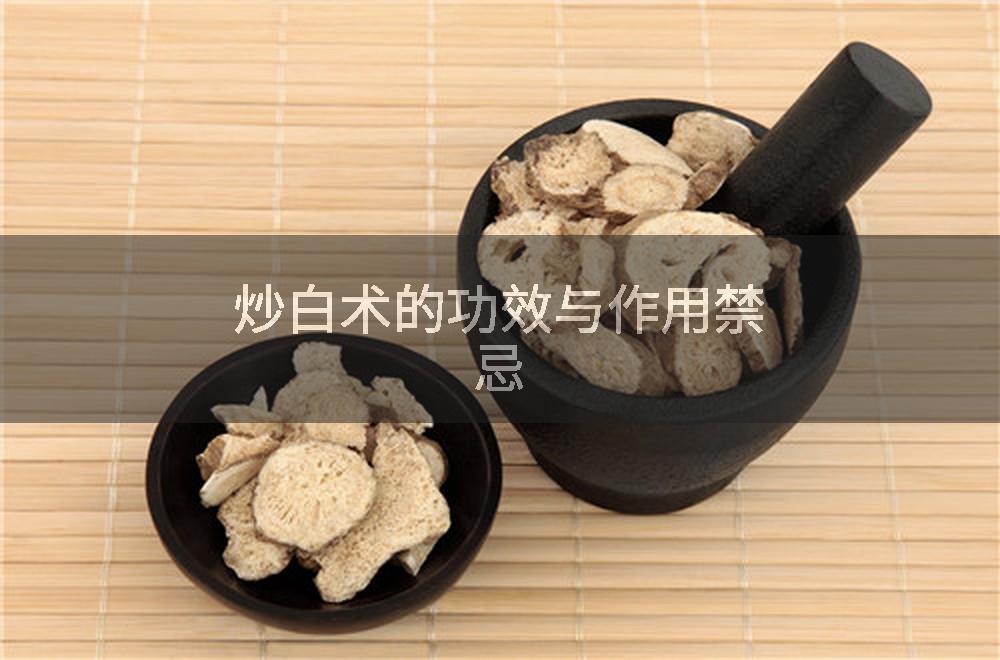 炒白术的功效与作用禁忌