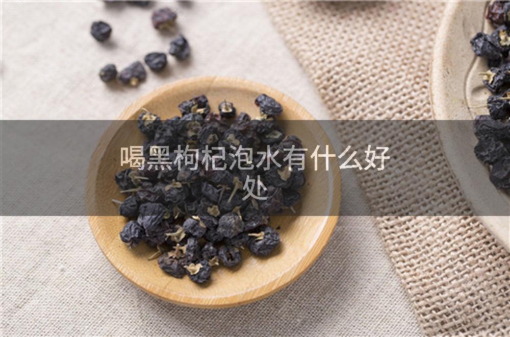 喝黑枸杞泡水有什么好处