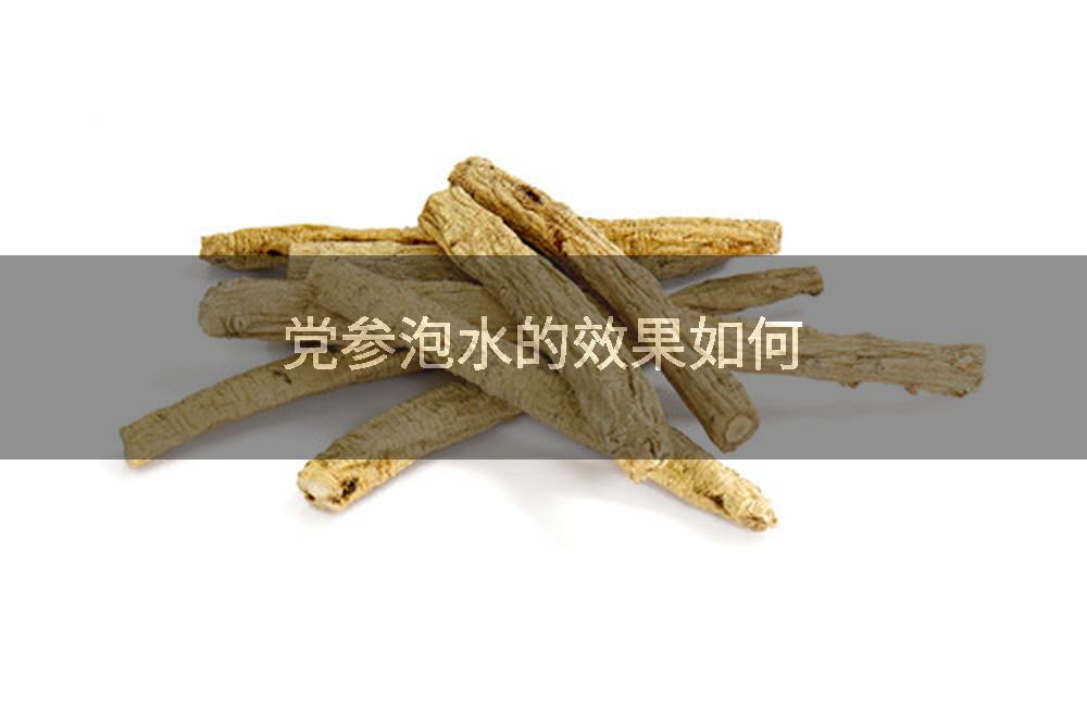 党参泡水的效果如何
