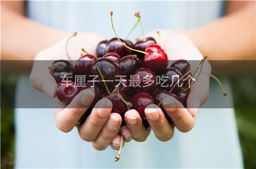 车厘子一天最多吃几个
