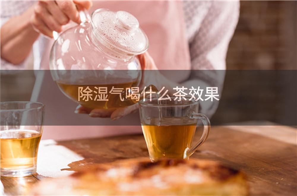 除湿气喝什么茶效果