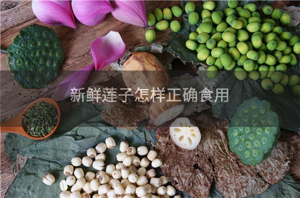 新鲜莲子怎样正确食用