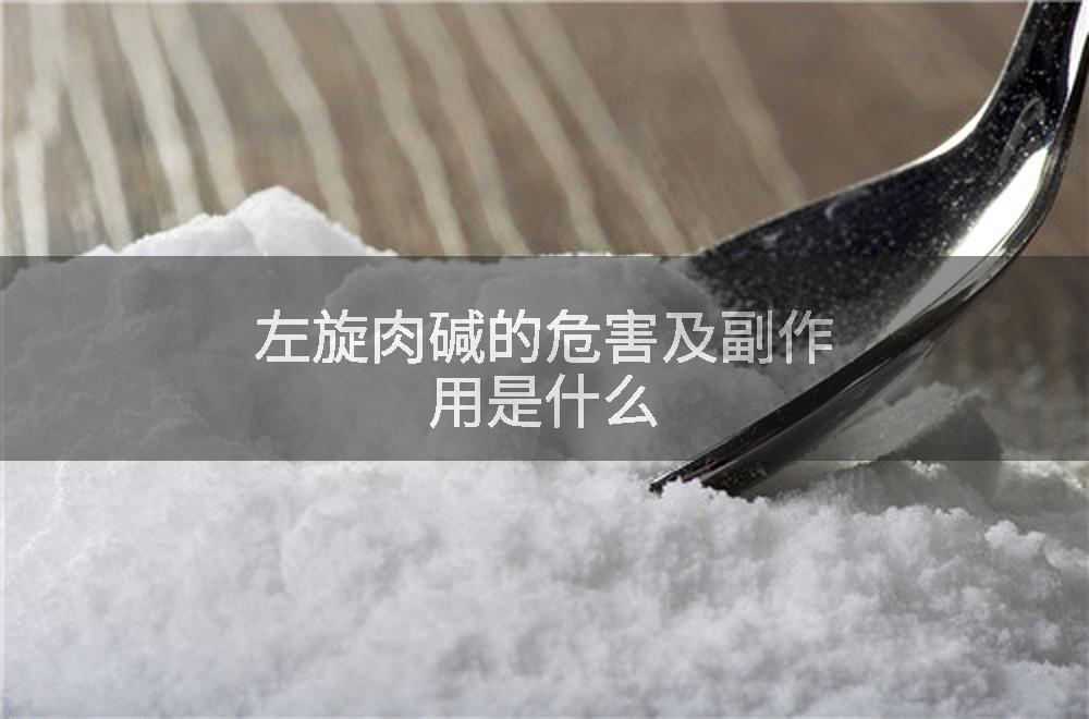 左旋肉碱的危害及副作用是什么