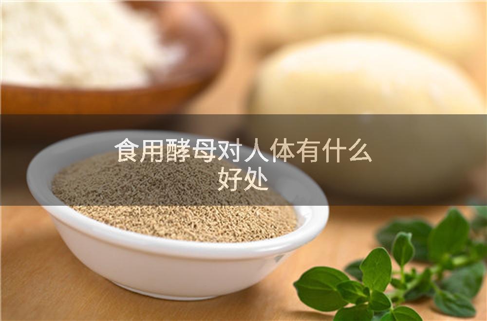 食用酵母对人体有什么好处