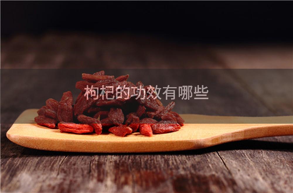 枸杞的功效有哪些