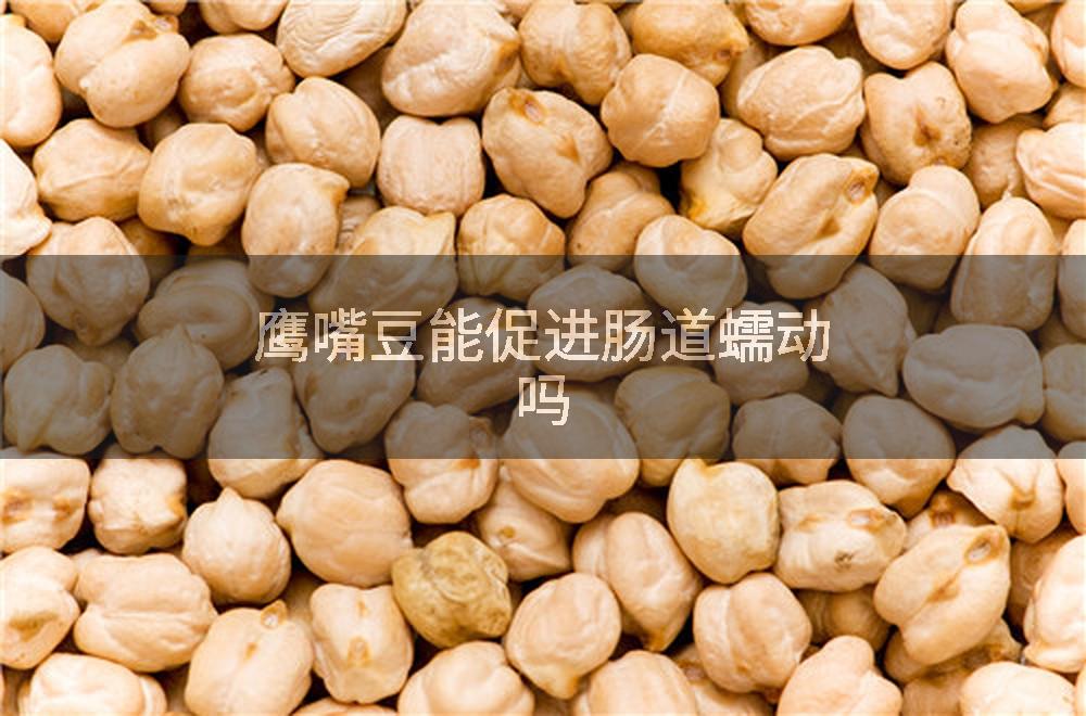 鹰嘴豆能促进肠道蠕动吗