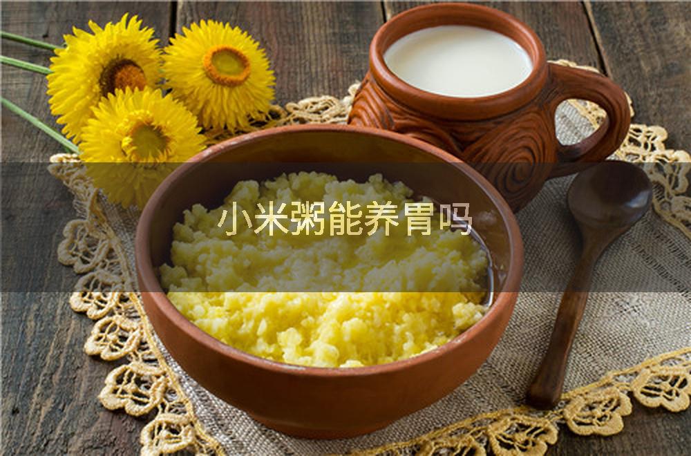 小米粥能养胃吗