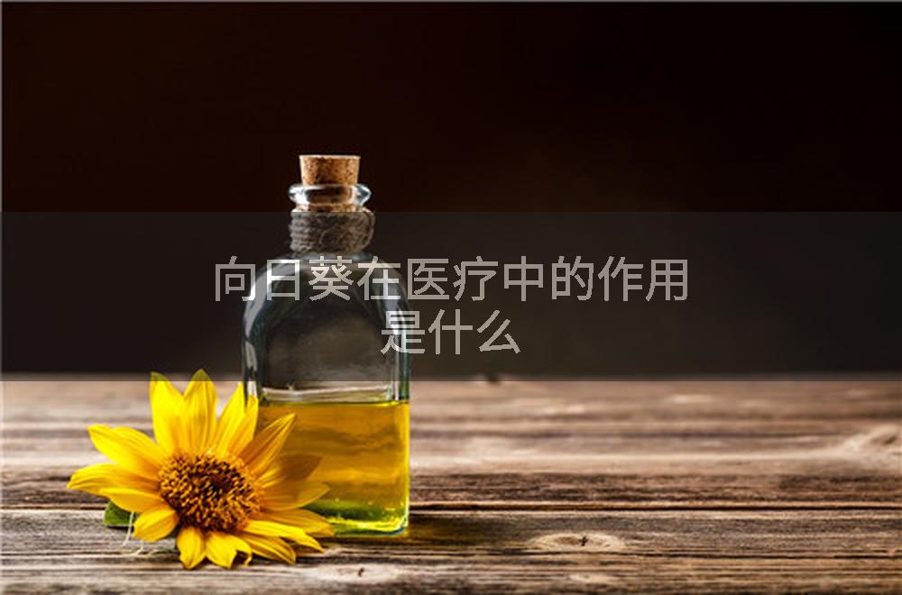 向日葵在医疗中的作用是什么