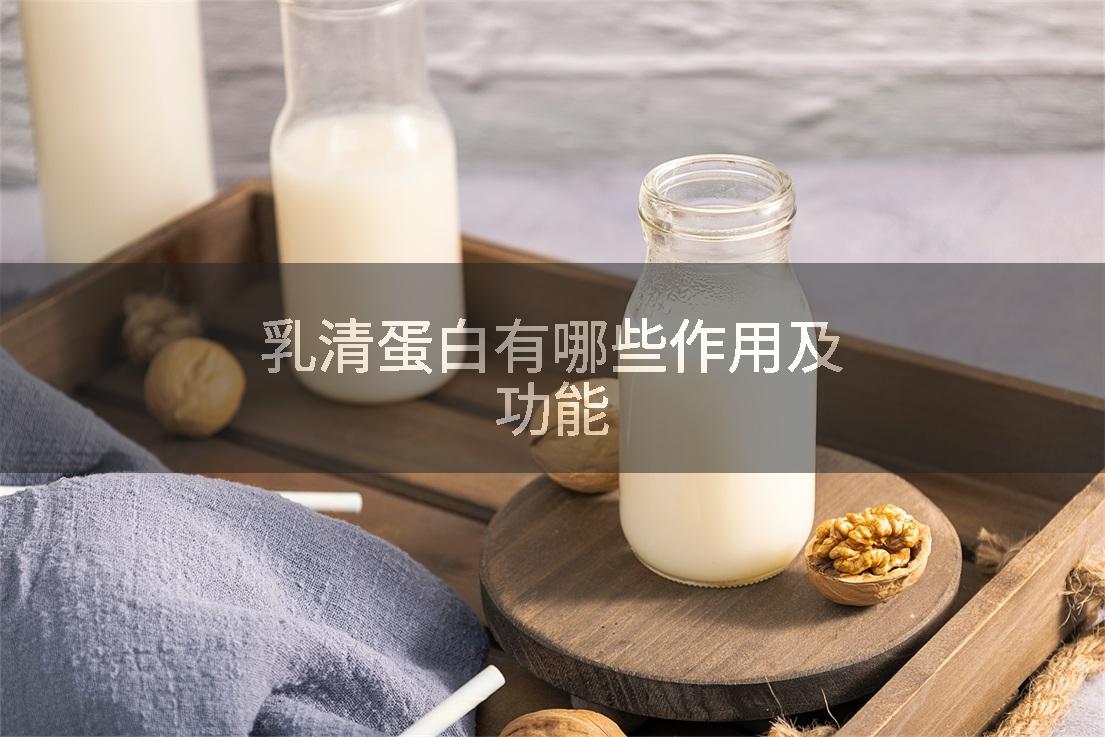 乳清蛋白有哪些作用及功能