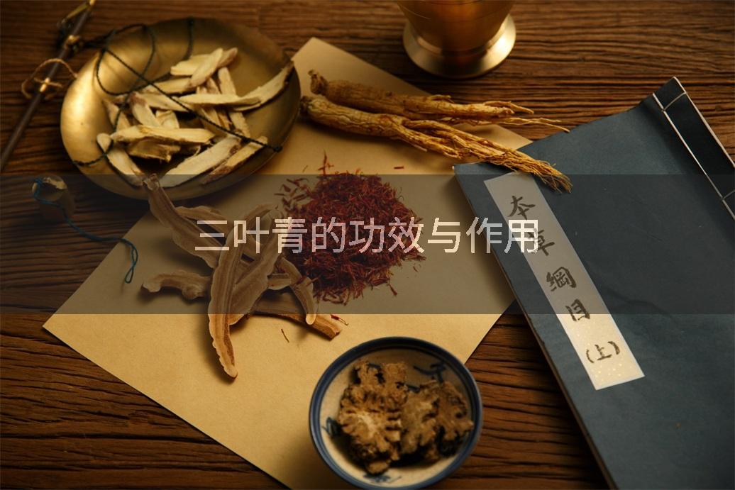 三叶青的功效与作用