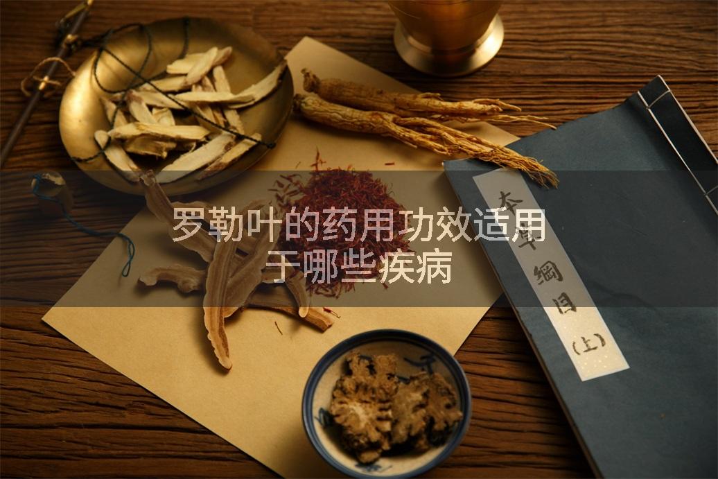 罗勒叶的药用功效适用于哪些疾病