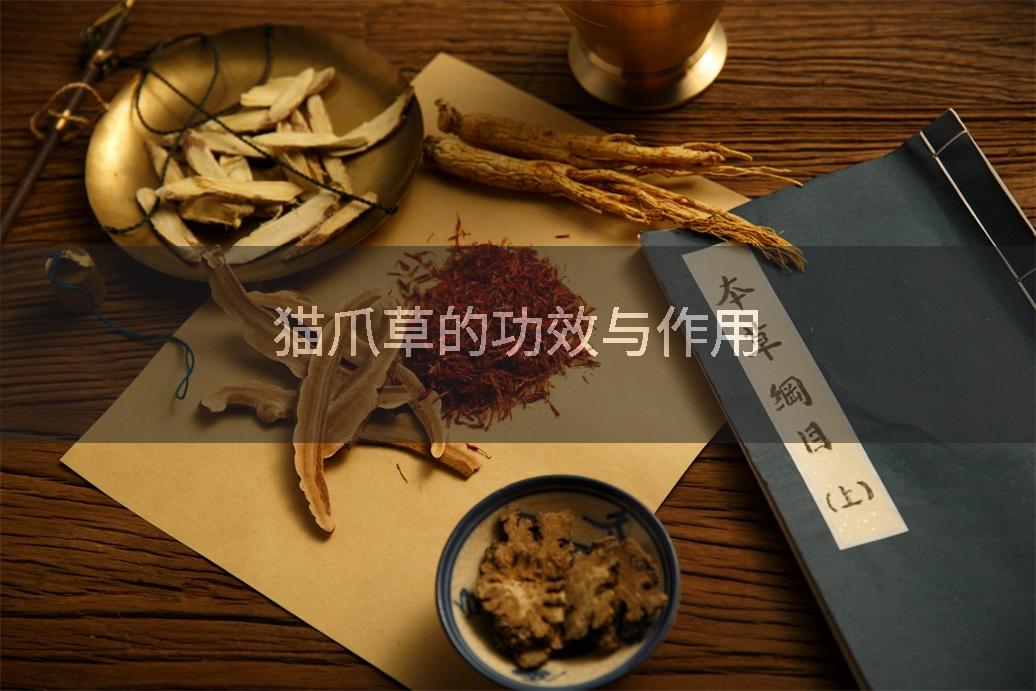 猫爪草的功效与作用