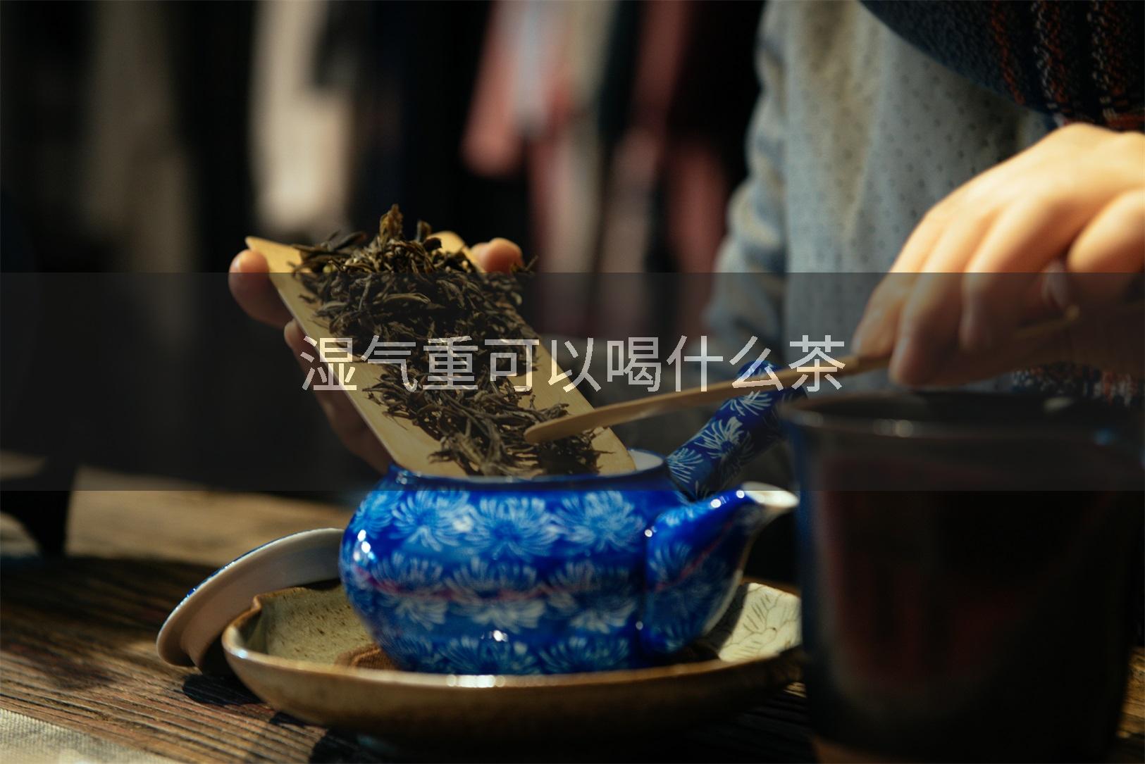 湿气重可以喝什么茶