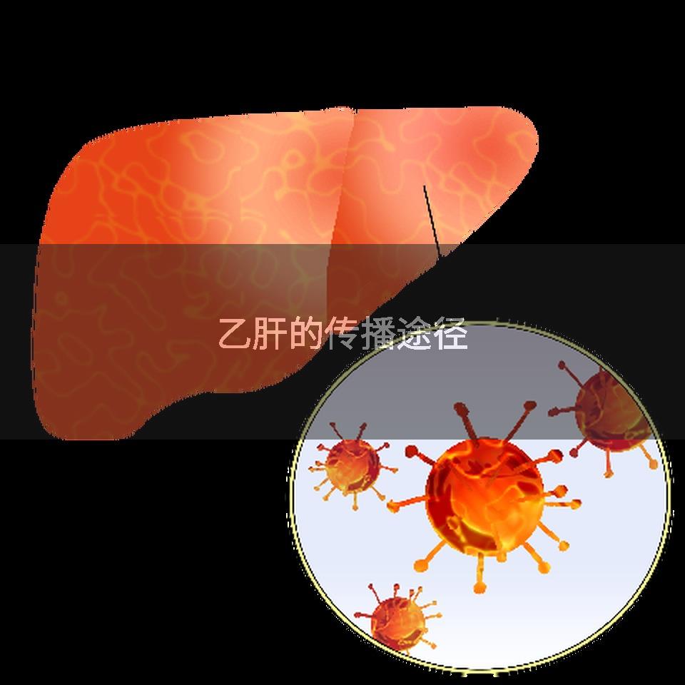 乙肝的传播途径