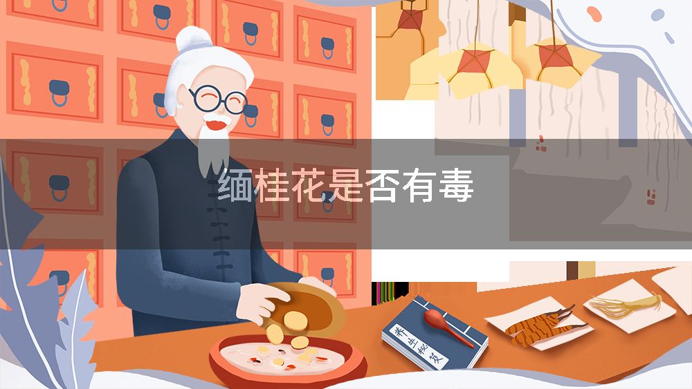 缅桂花是否有毒
